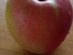 4620850379993135553299263898490113178395497n